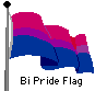 BiPride Flag